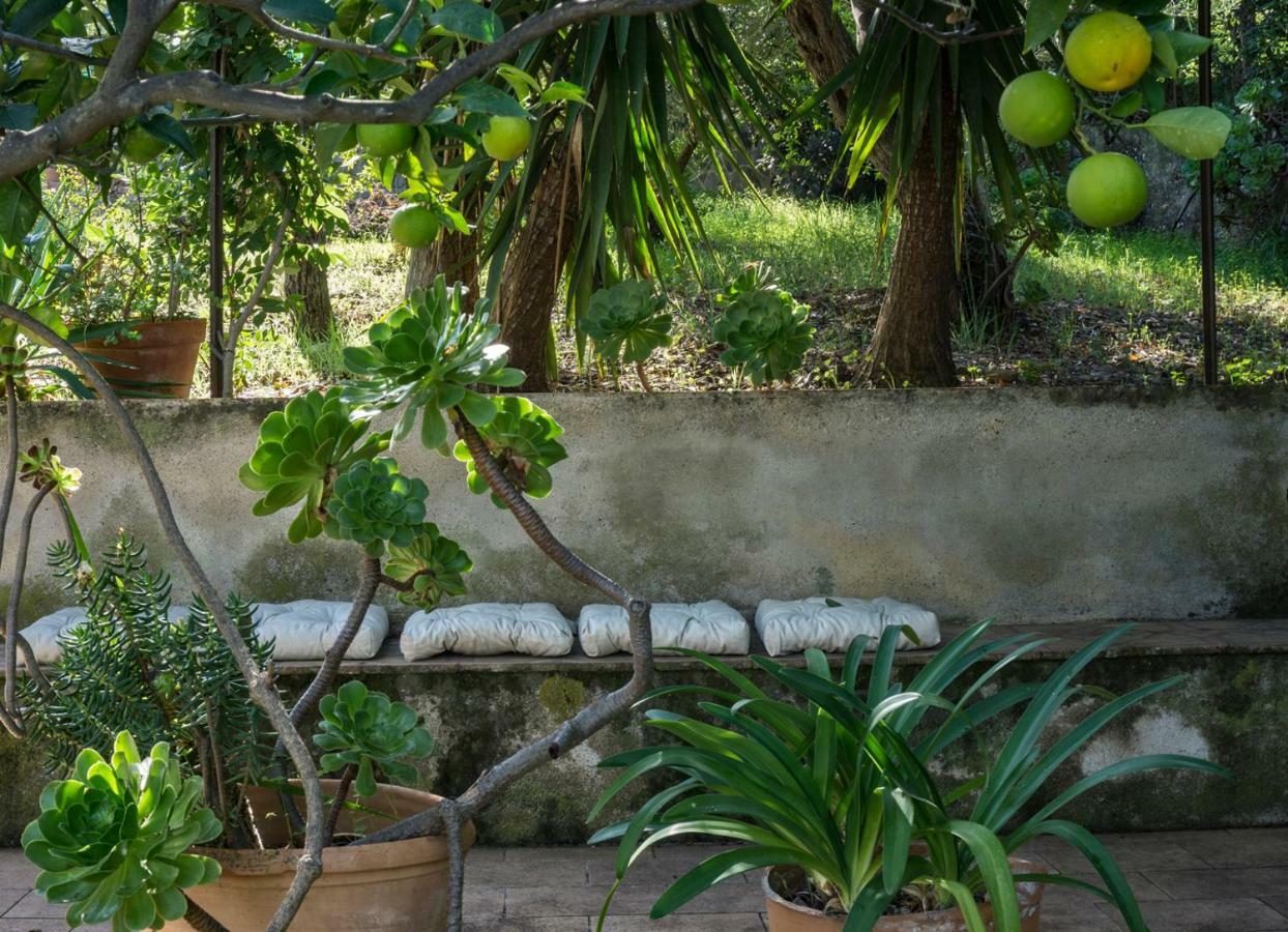 Villa Santa Lucia Cefalù Kültér fotó