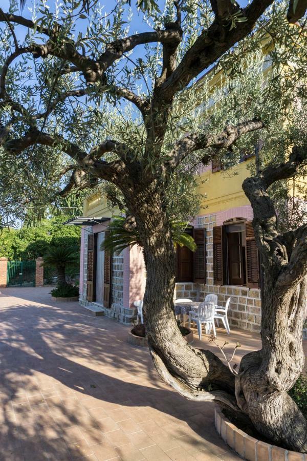 Villa Santa Lucia Cefalù Kültér fotó
